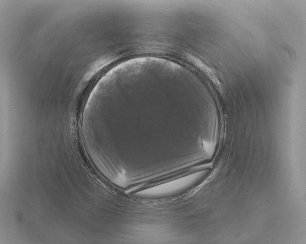 X0000115671453200912101102