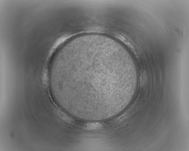 X0000115671454200912101102