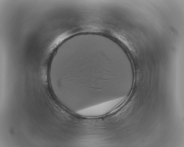 X0000115671455200912101102