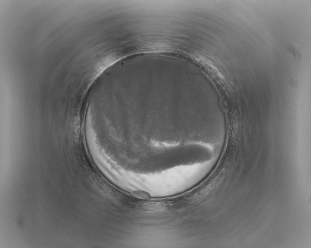 X0000115671457200912101102