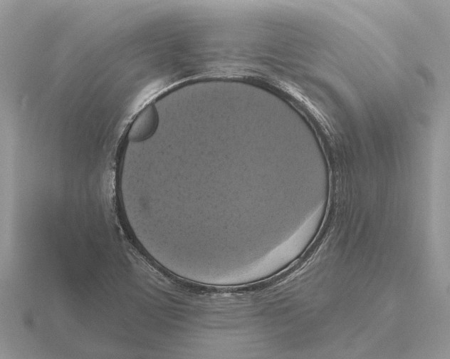 X0000115671459200912101102