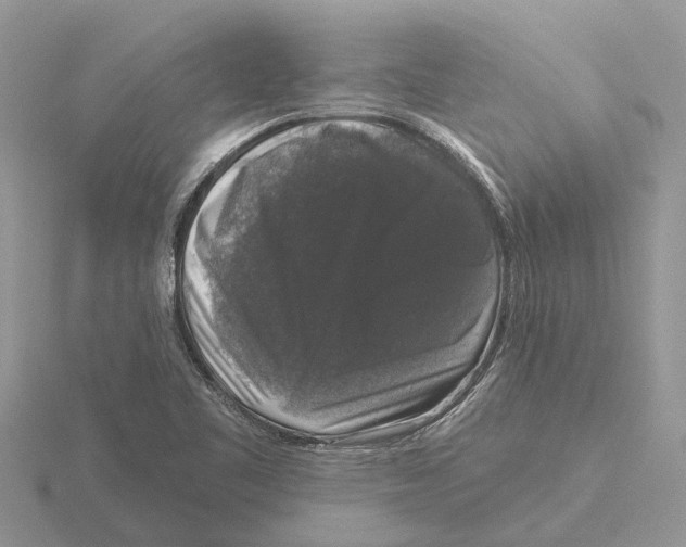 X0000115671461200912101102