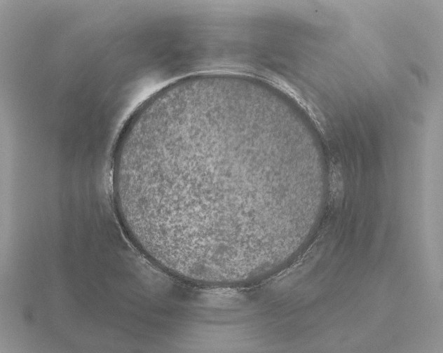 X0000115671462200912101102