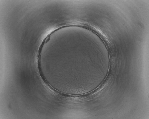 X0000115671463200912101102