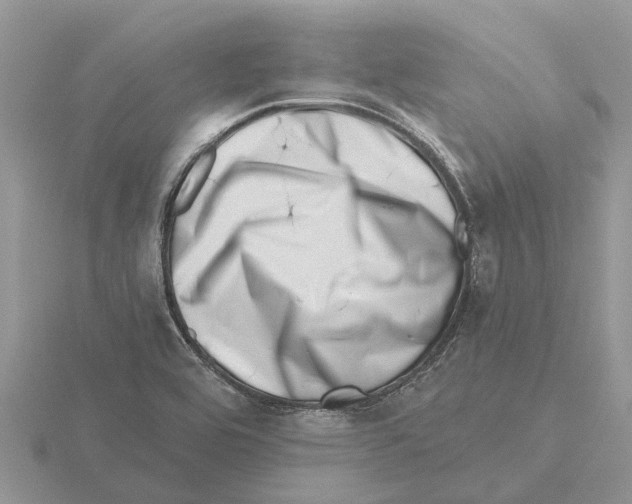 X0000115671464200912101102