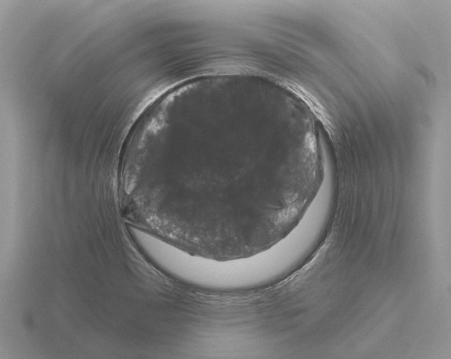 X0000115671465200912101102