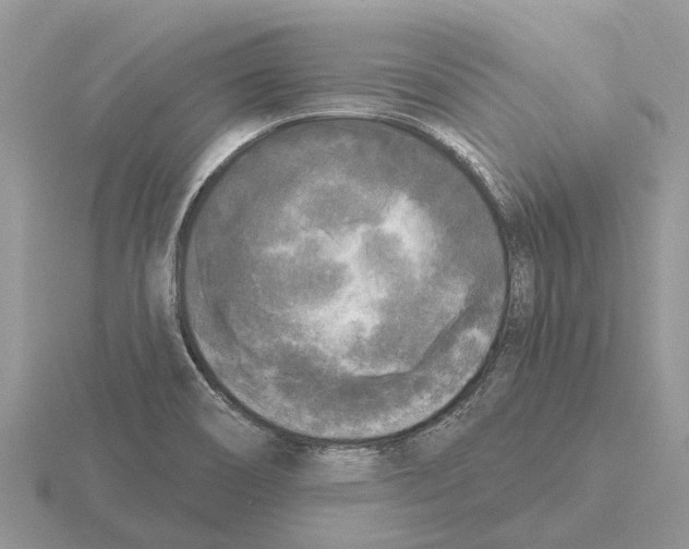 X0000115671466200912101102