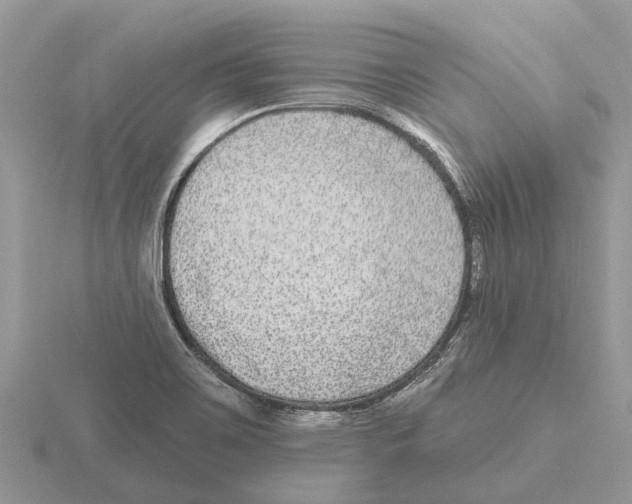 X0000115671467200912101102