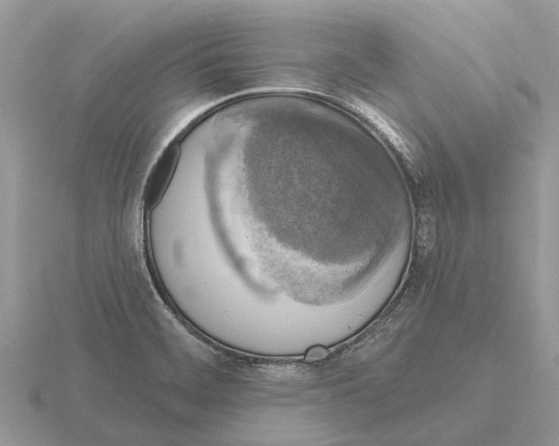 X0000115671468200912101102