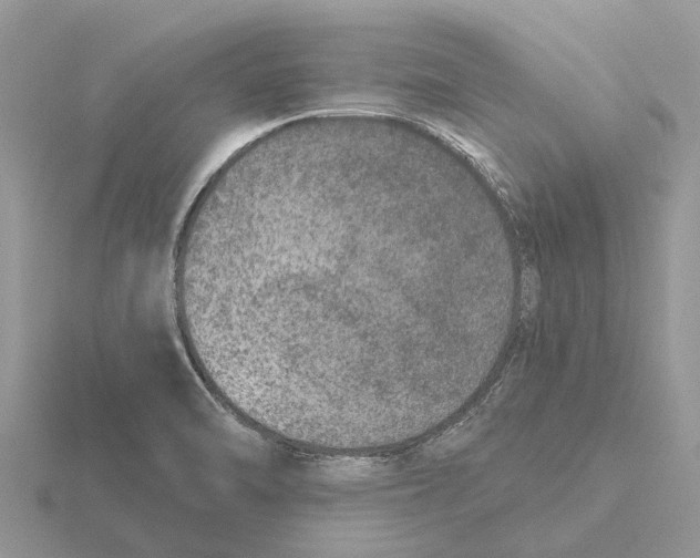 X0000115671470200912101102