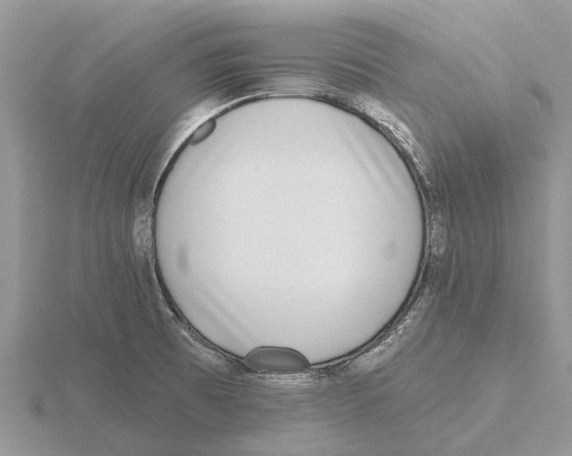 X0000115671473200912101102