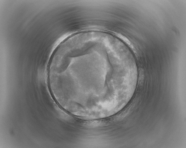 X0000115671474200912101102