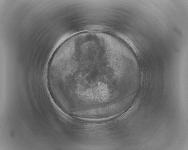 X0000115671475200912101102