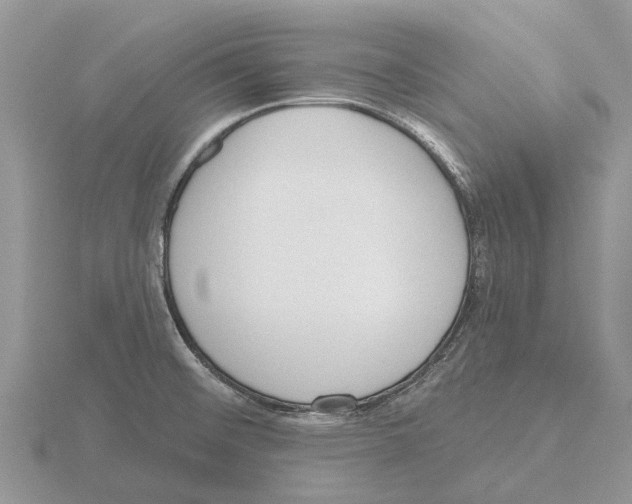 X0000115671476200912101102