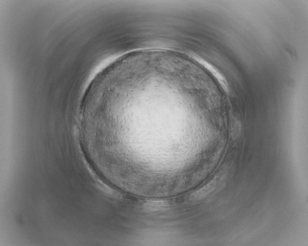 X0000115671477200912101102