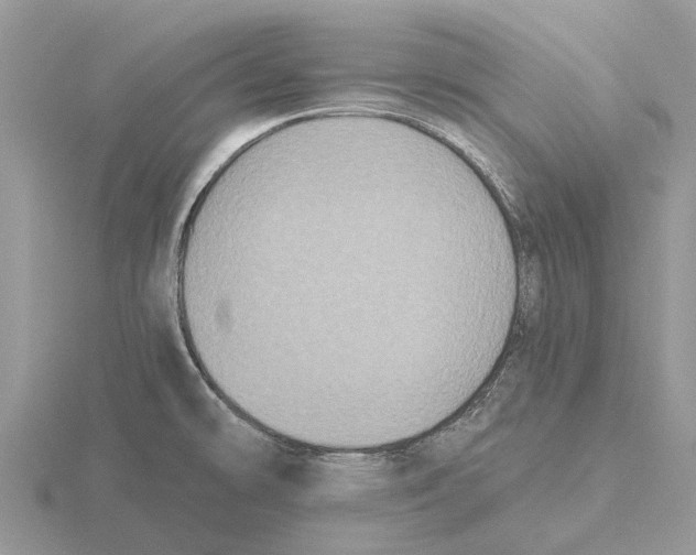 X0000115671478200912101102