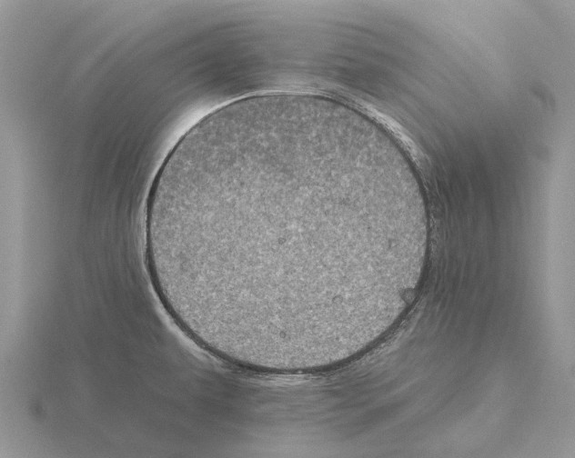 X0000115671479200912101102