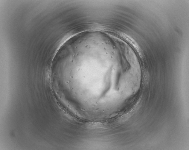 X0000115671481200912101101