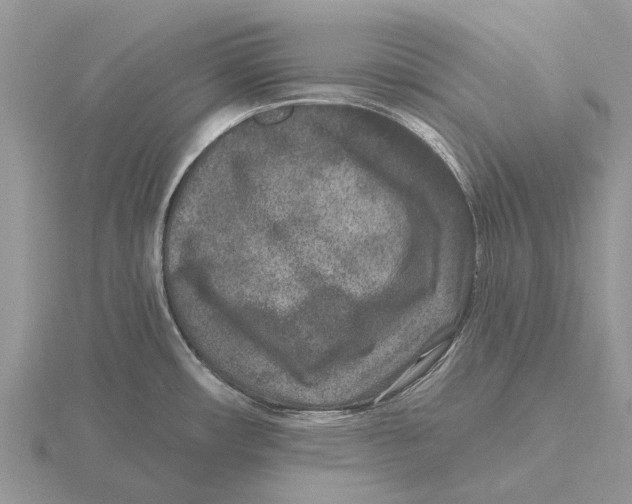 X0000115671482200912101101