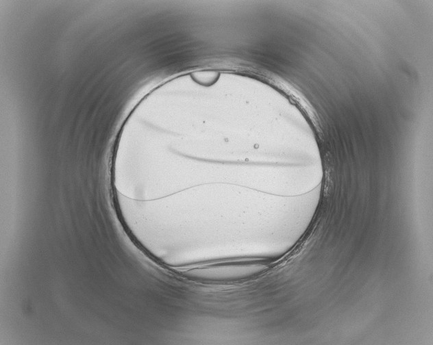 X0000115671483200912101101