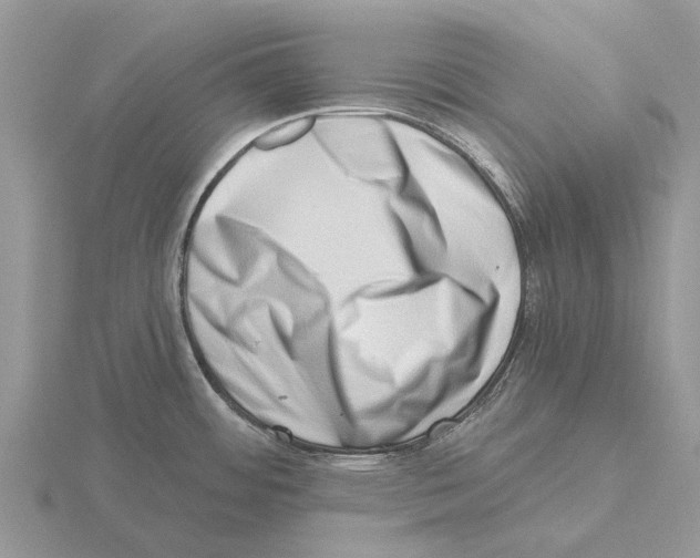 X0000115671484200912101101