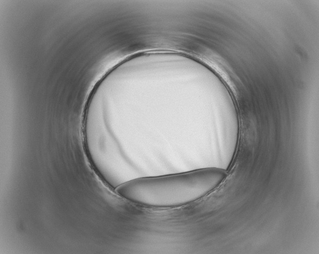 X0000115671485200912101101