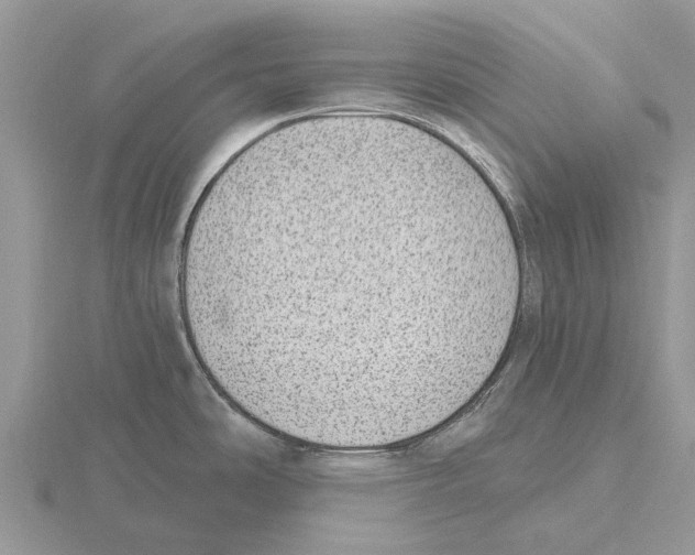 X0000115671486200912101101