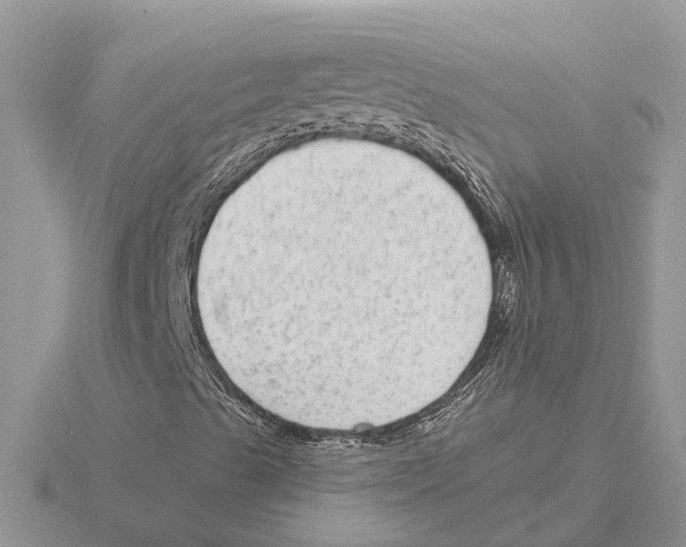 X0000115671489200912101101