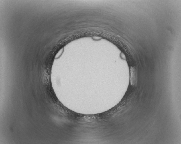 X0000115671491200912101101