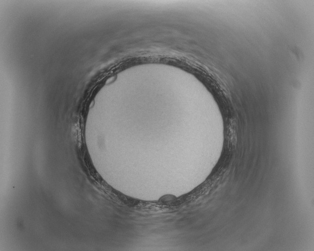 X0000115671493200912101101