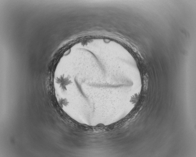 X0000115671494200912101101