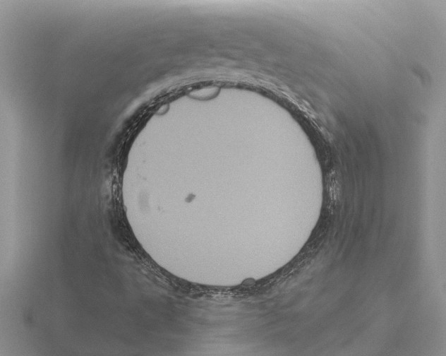 X0000115671495200912101101