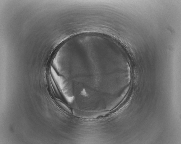 X0000115671497200912101101