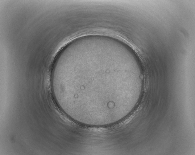 X0000115671498200912101101