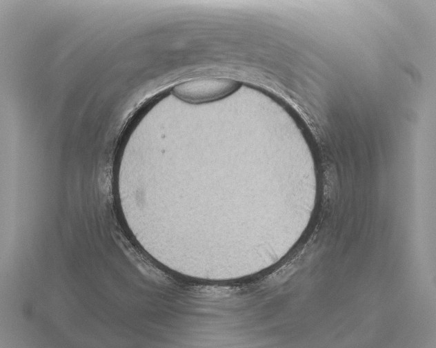 X0000115671499200912101101