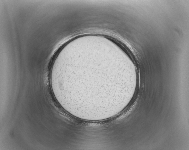 X0000115671501200912101101