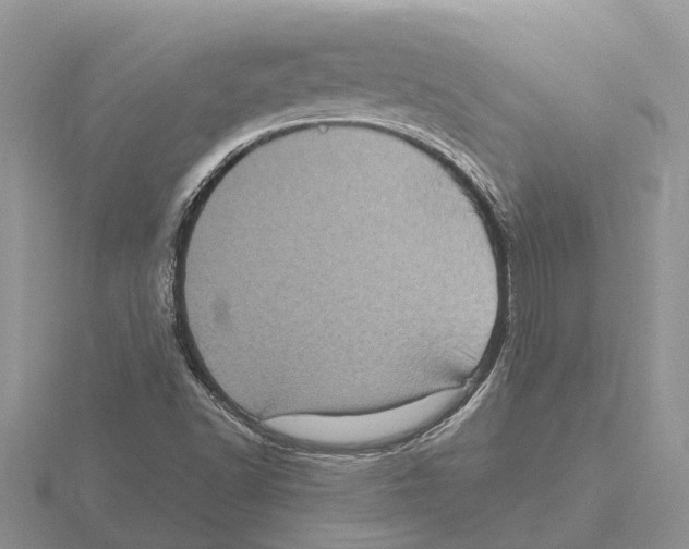 X0000115671502200912101101