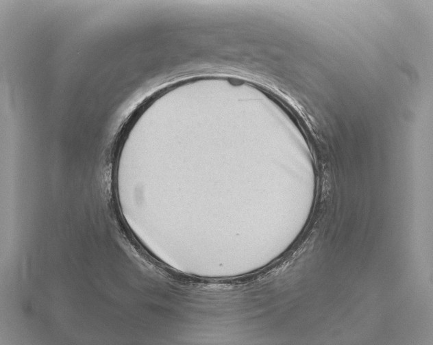 X0000115671503200912101101