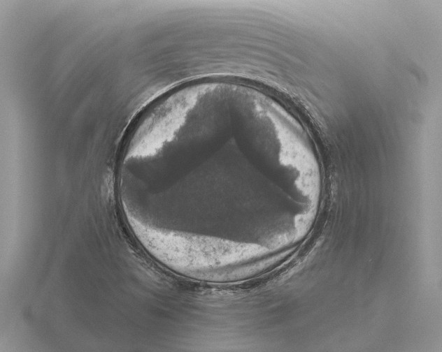 X0000115671505200912101101