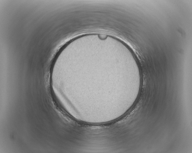 X0000115671507200912101101