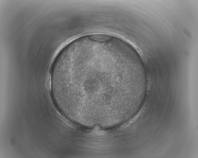 X0000115671509200912101101