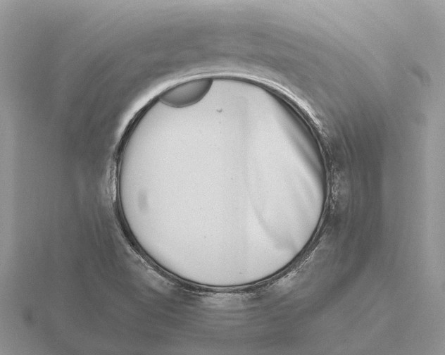 X0000115671510200912101101