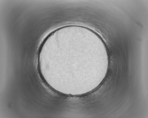 X0000115671511200912101101