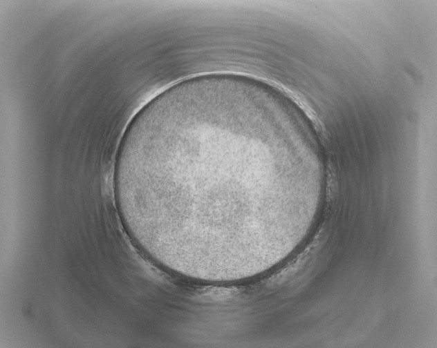 X0000115671513200912101101