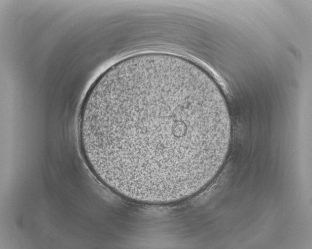 X0000115671514200912101101