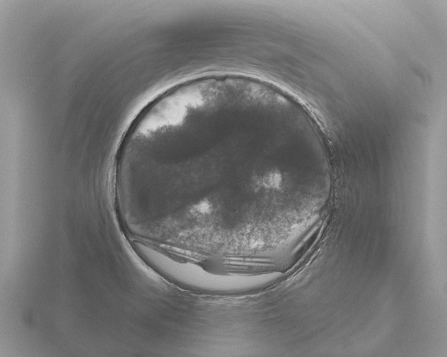 X0000115671519200912101101