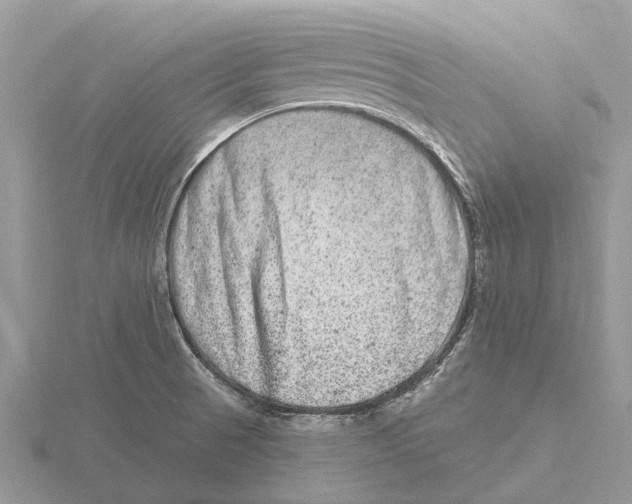 X0000115671521200912101101