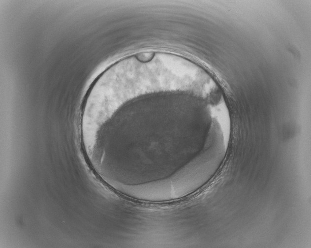 X0000115671522200912101101