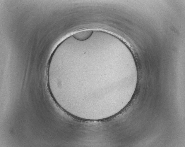 X0000115671526200912101101