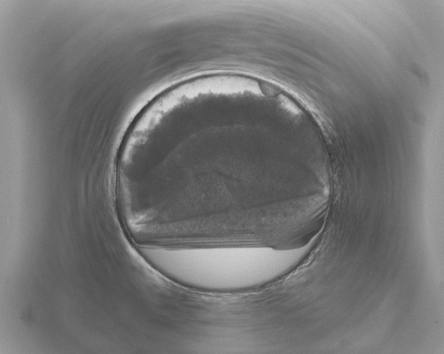 X0000115671527200912101101